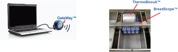 ThermoBiscuit in Baking Pan